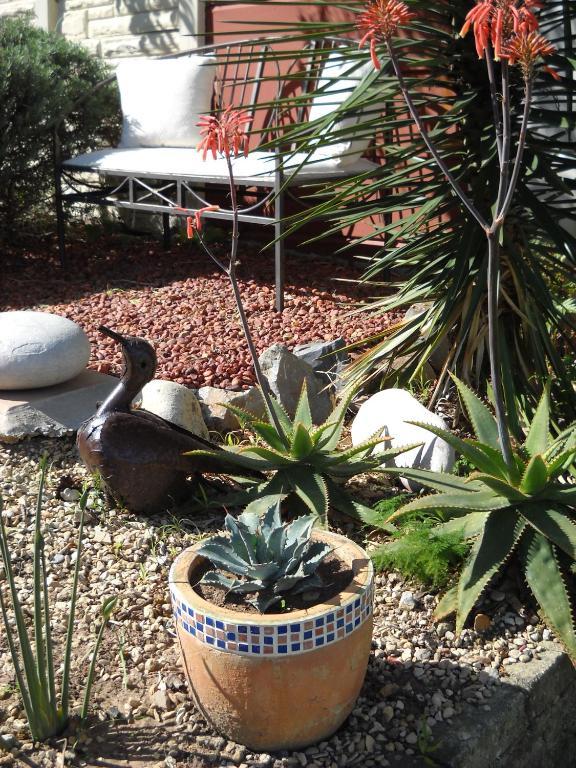 Aestas Bed & Breakfast Knysna Luaran gambar