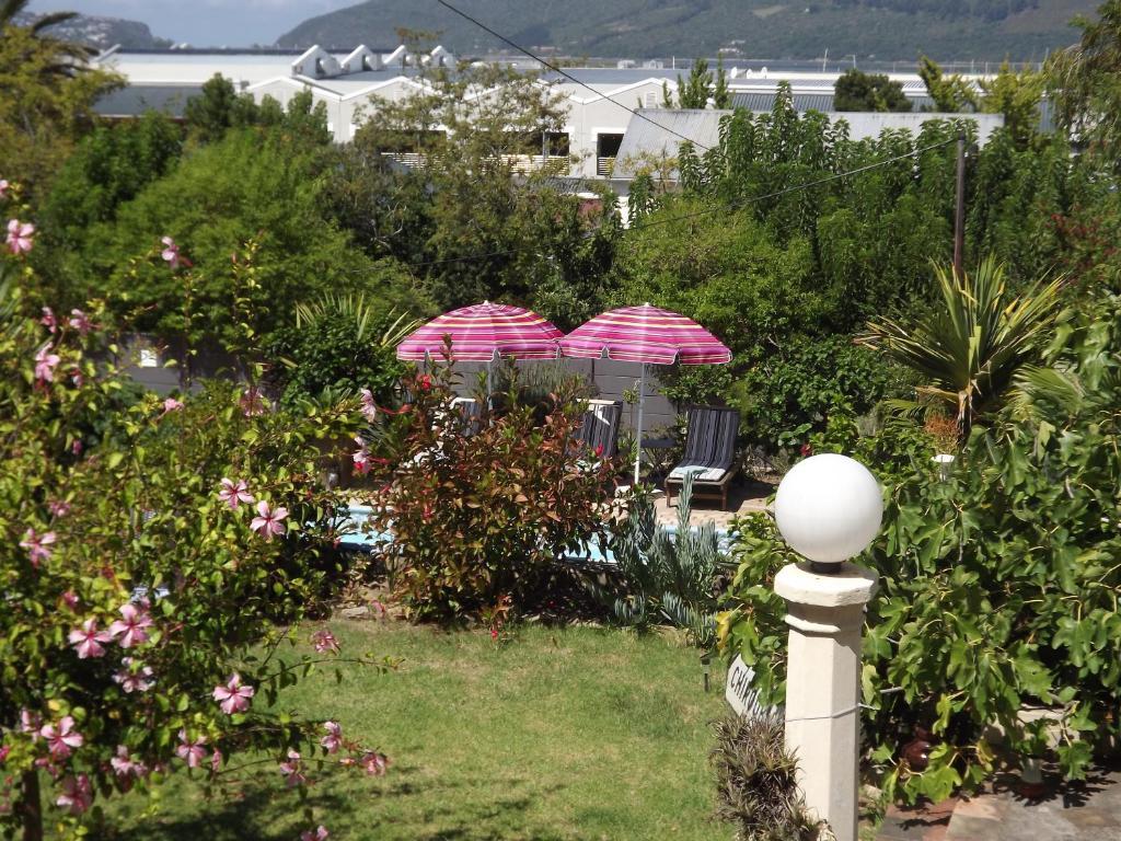 Aestas Bed & Breakfast Knysna Bilik gambar